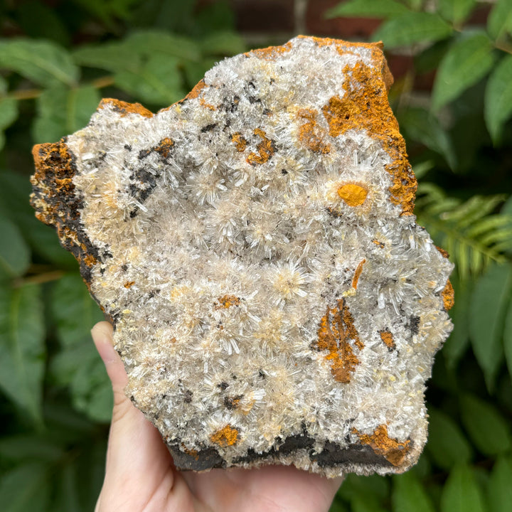 Hemimorphite