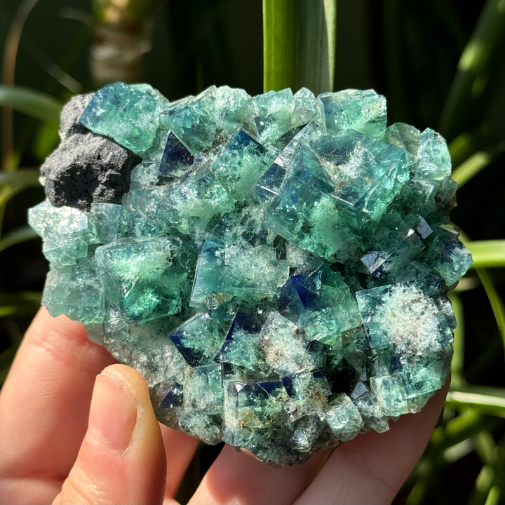 Rogerley Fluorite - UV Reactive