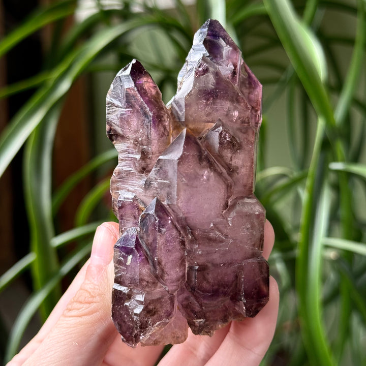 Shangaan Amethyst