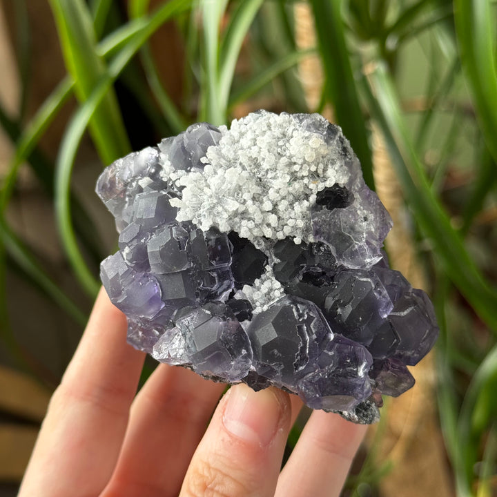 Fluorite