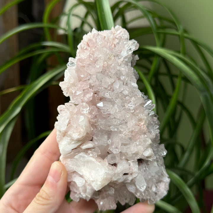 Pink Quartz - Colombia