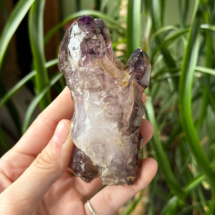 Shangaan Amethyst