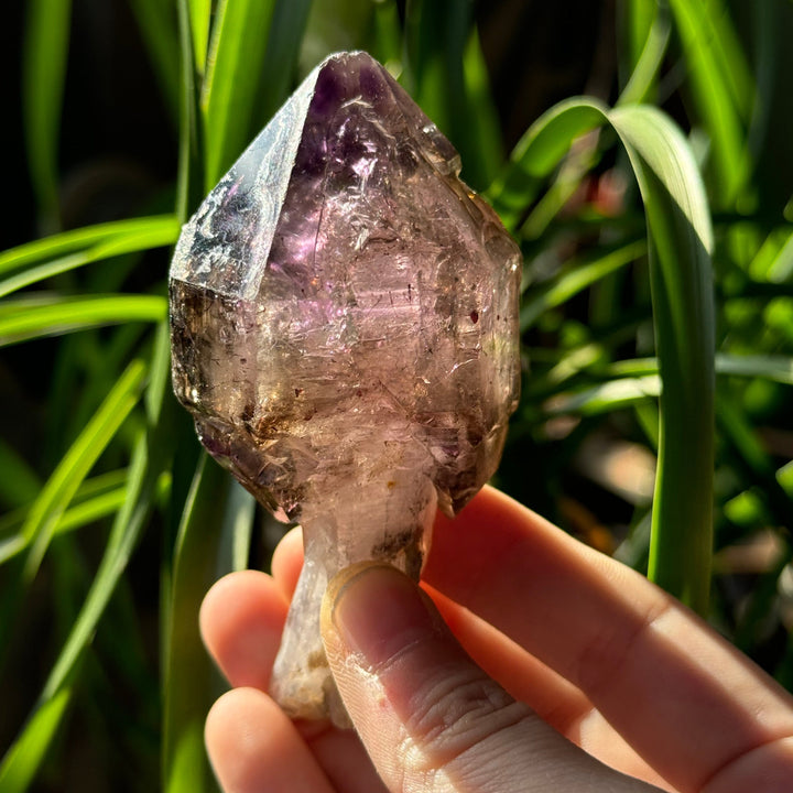 Shangaan Amethyst Scepter