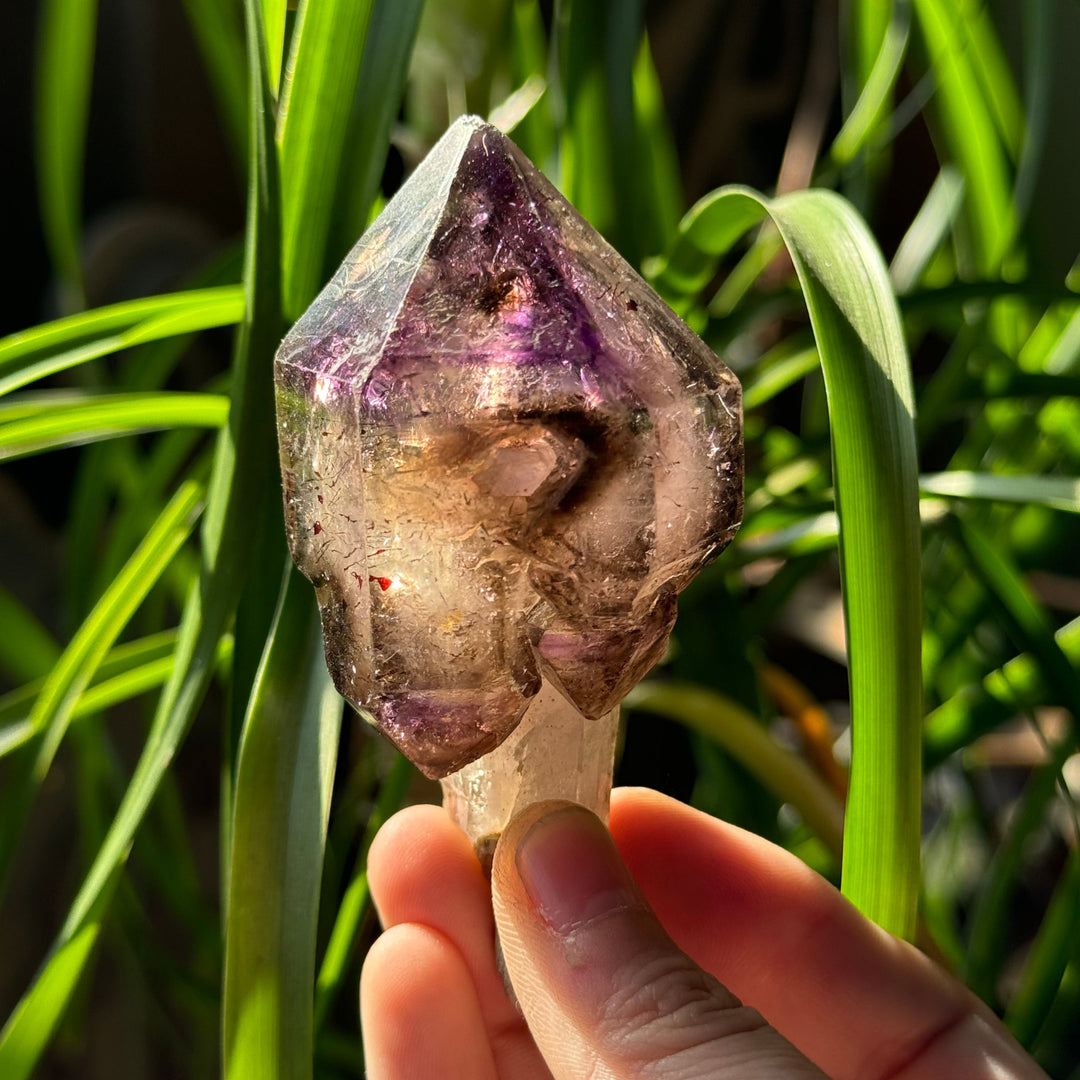 Shangaan Amethyst Scepter