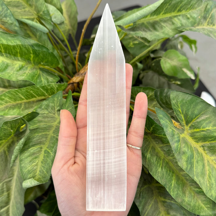 Selenite Point Plate