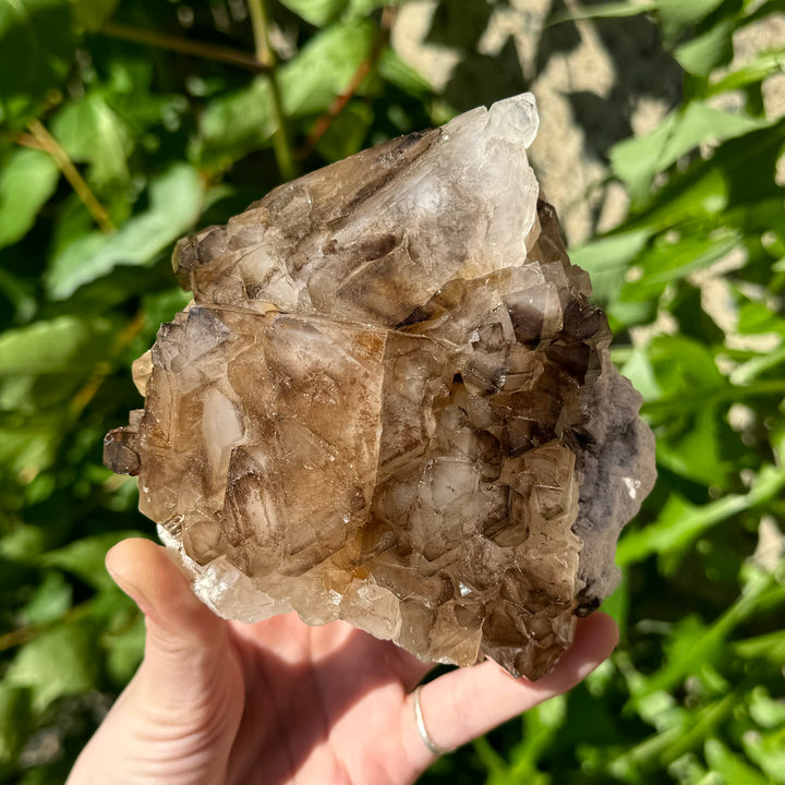 Smoky Quartz