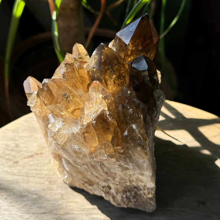 Kundalini Citrine