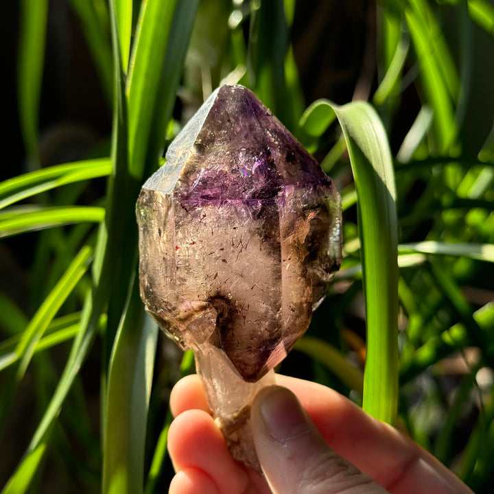 Shangaan Amethyst Scepter