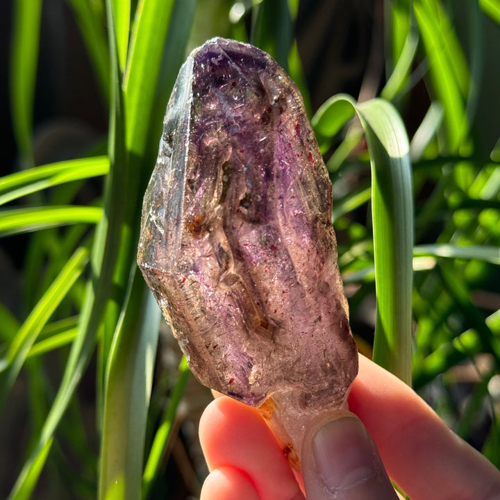 Shangaan Amethyst Scepter