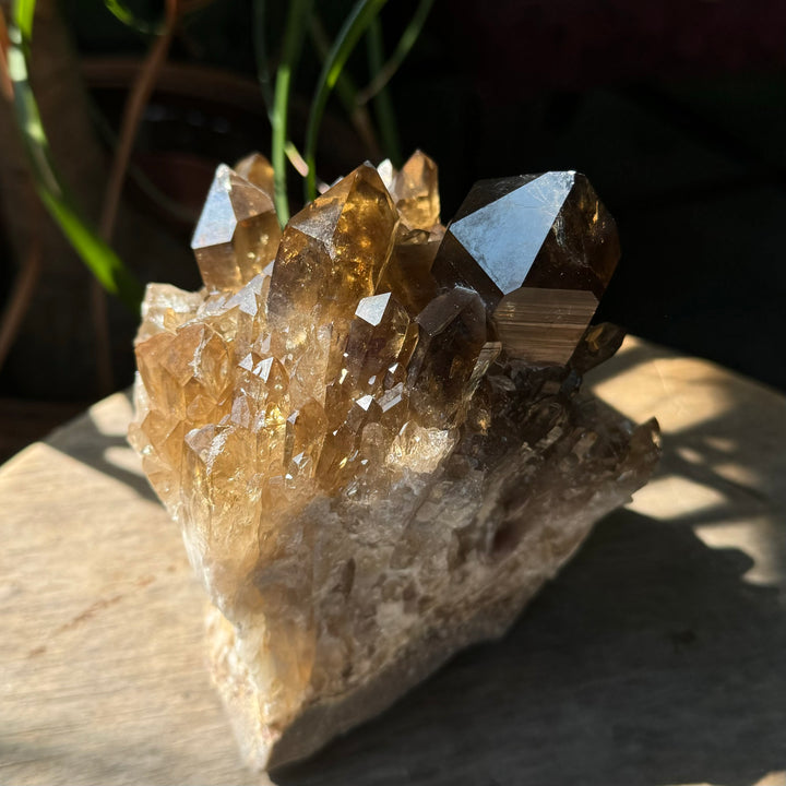 Kundalini Citrine