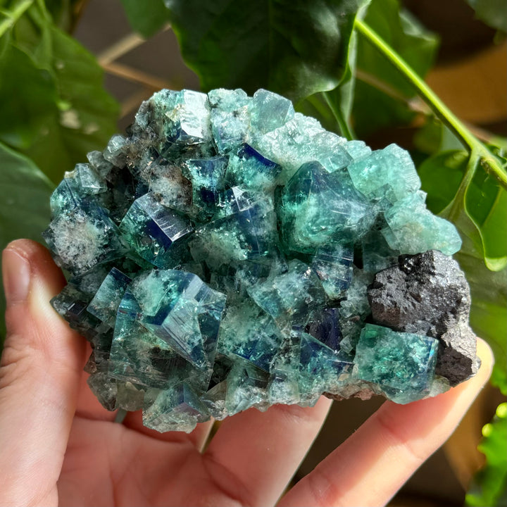 Rogerley Fluorite - UV Reactive