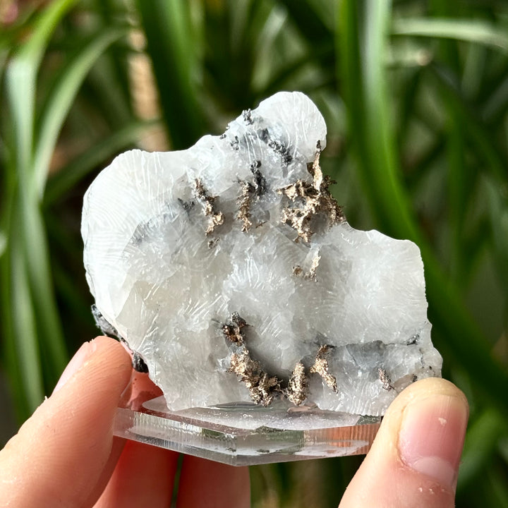 Crystalline Silver On Calcite