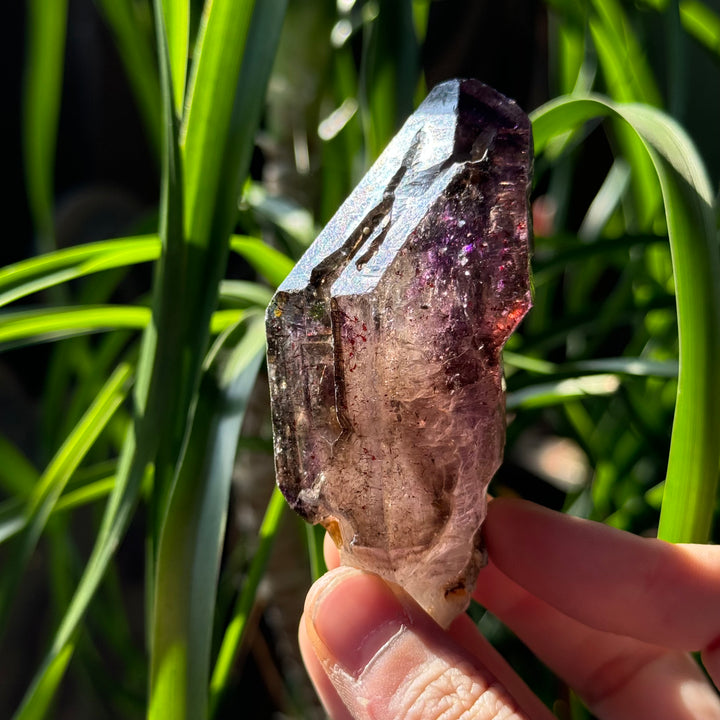 Shangaan Amethyst Scepter