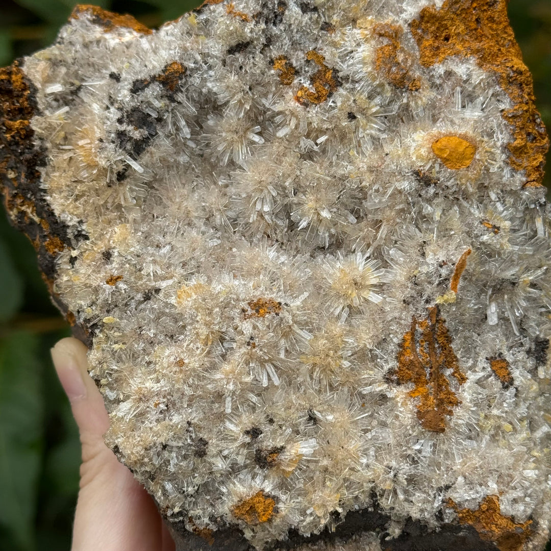 Hemimorphite