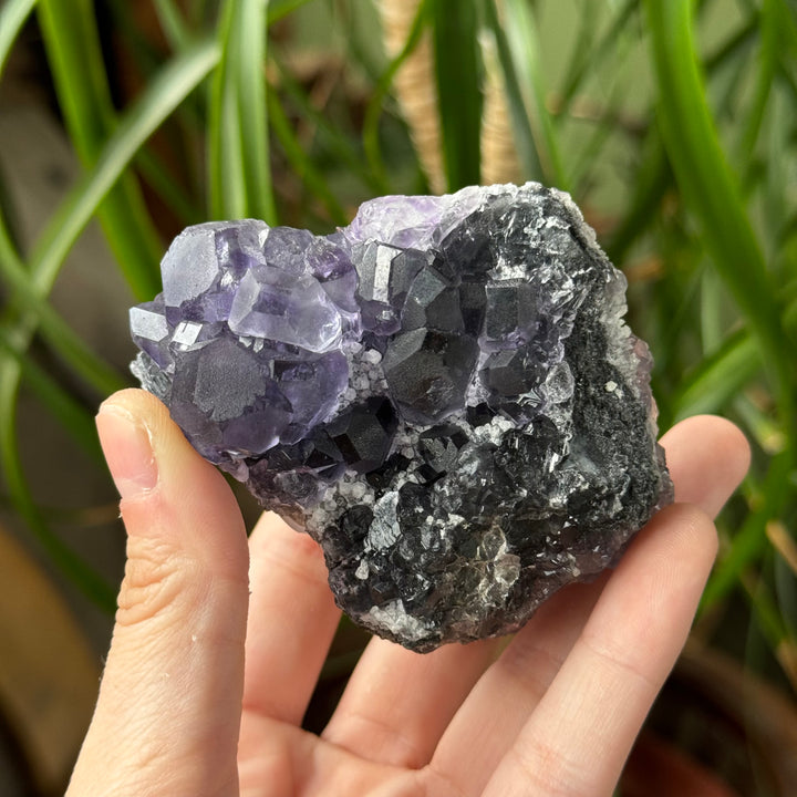 Fluorite