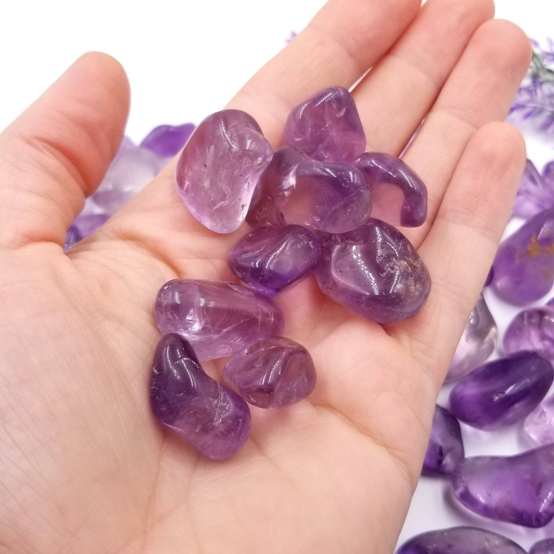 Amethyst Tumbled Stones  1 LB - Funky Stuff