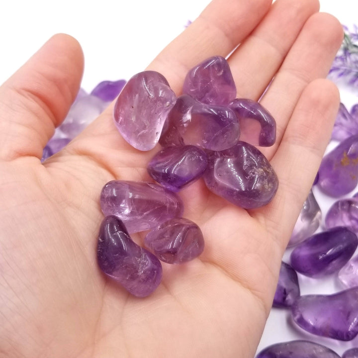 Amethyst Tumbled Stones  1 LB - Funky Stuff