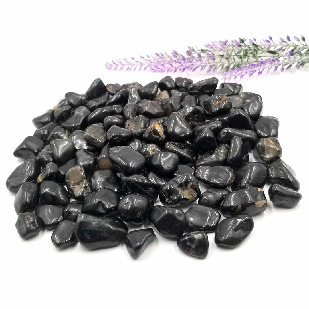 Black Onyx Tumbled Stones 1 LB - Funky Stuff