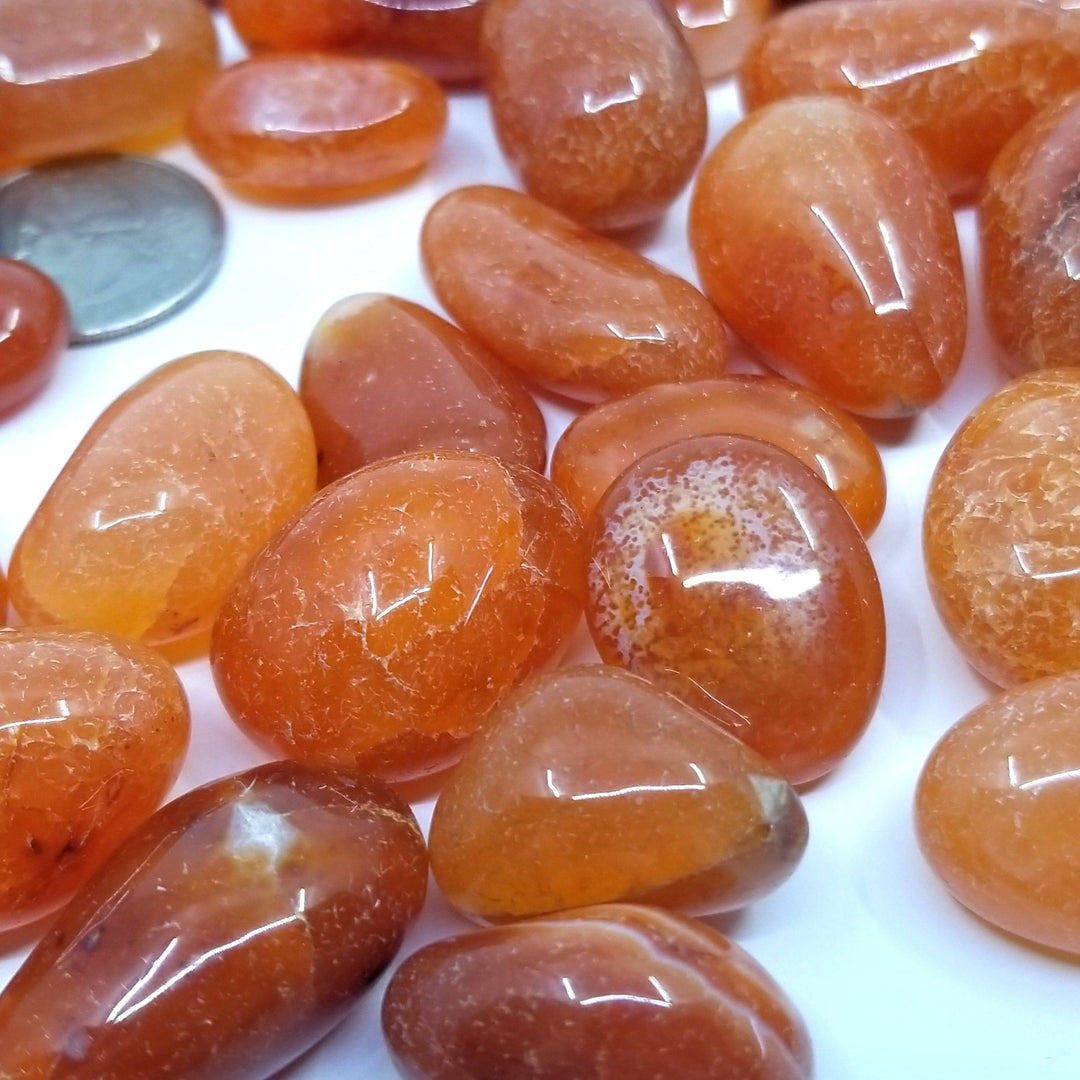 Carnelian Tumbled Stones 1 LB - Funky Stuff