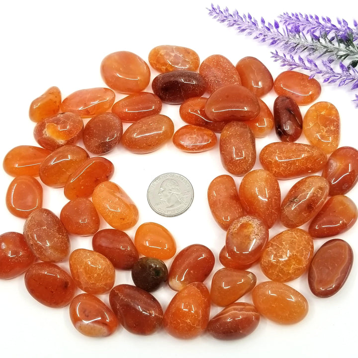 Carnelian Tumbled Stones 1 LB - Funky Stuff