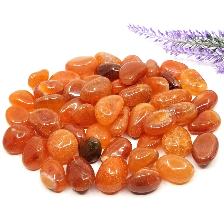 Carnelian Tumbled Stones 1 LB - Funky Stuff