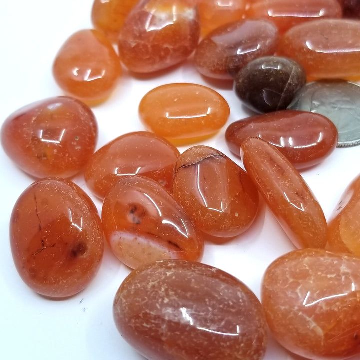 Carnelian Tumbled Stones 1 LB - Funky Stuff