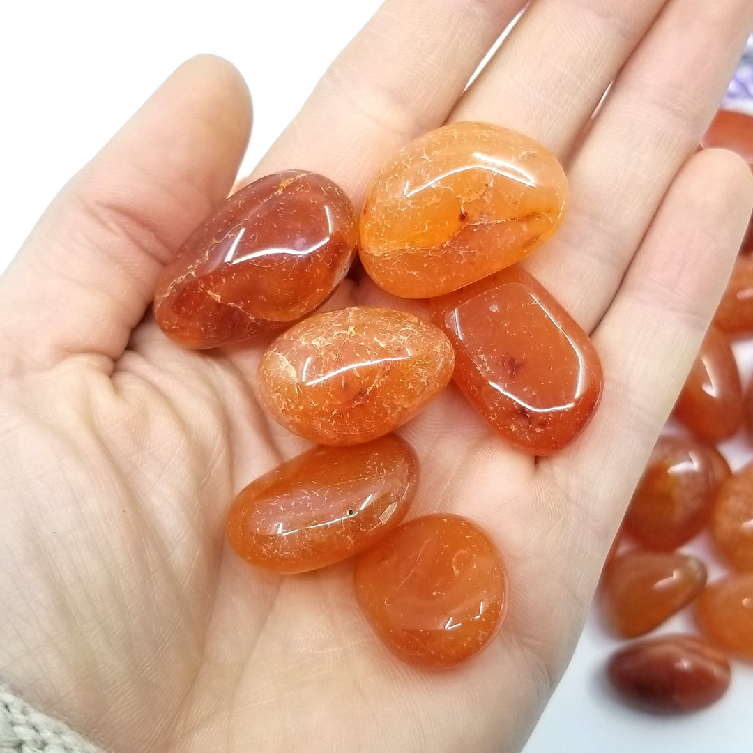 Carnelian Tumbled Stones 1 LB - Funky Stuff