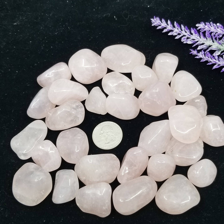 Rose Quartz Tumbled Stones 1 LB - Funky Stuff