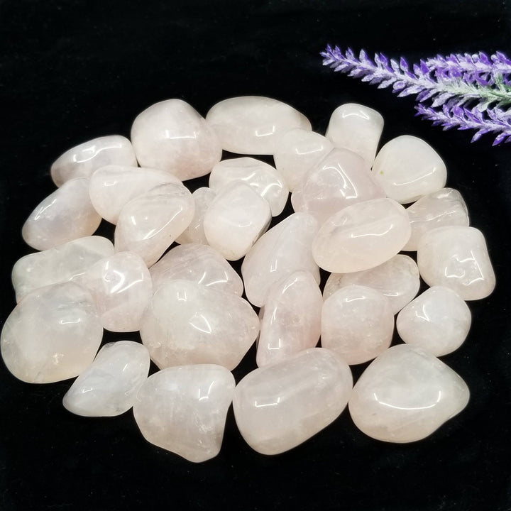 Rose Quartz Tumbled Stones 1 LB - Funky Stuff