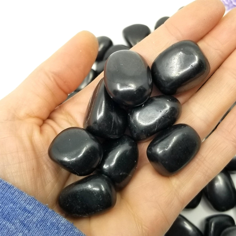 Shungite Tumbled Stones 1 LB - Funky Stuff