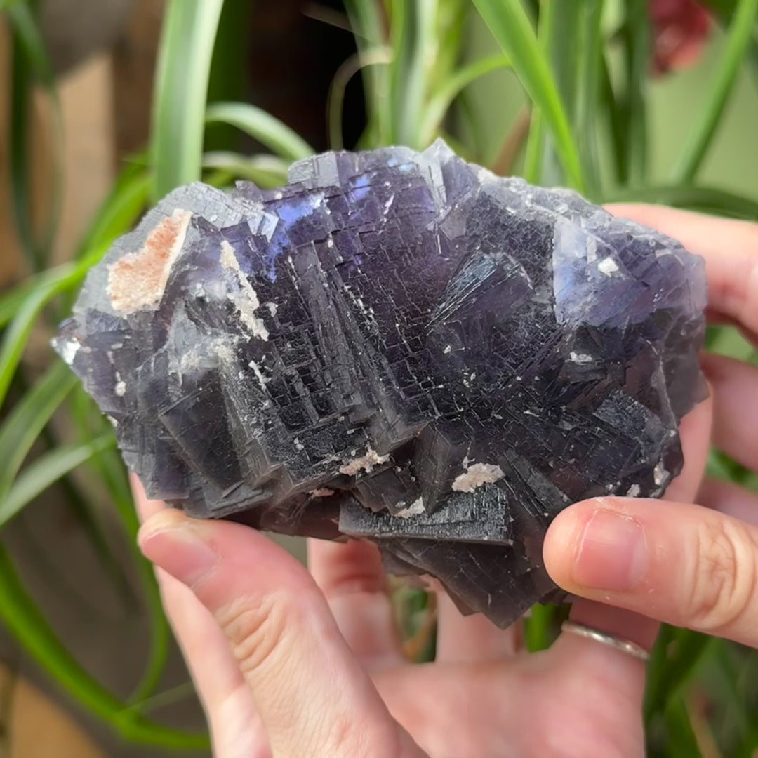 Fluorite - Pakistan