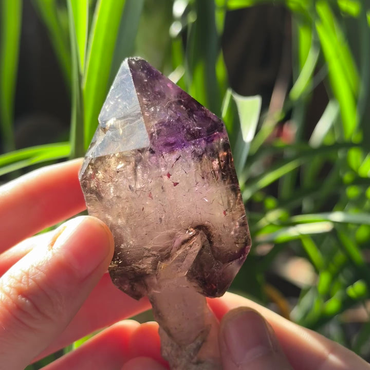 Shangaan Amethyst Scepter