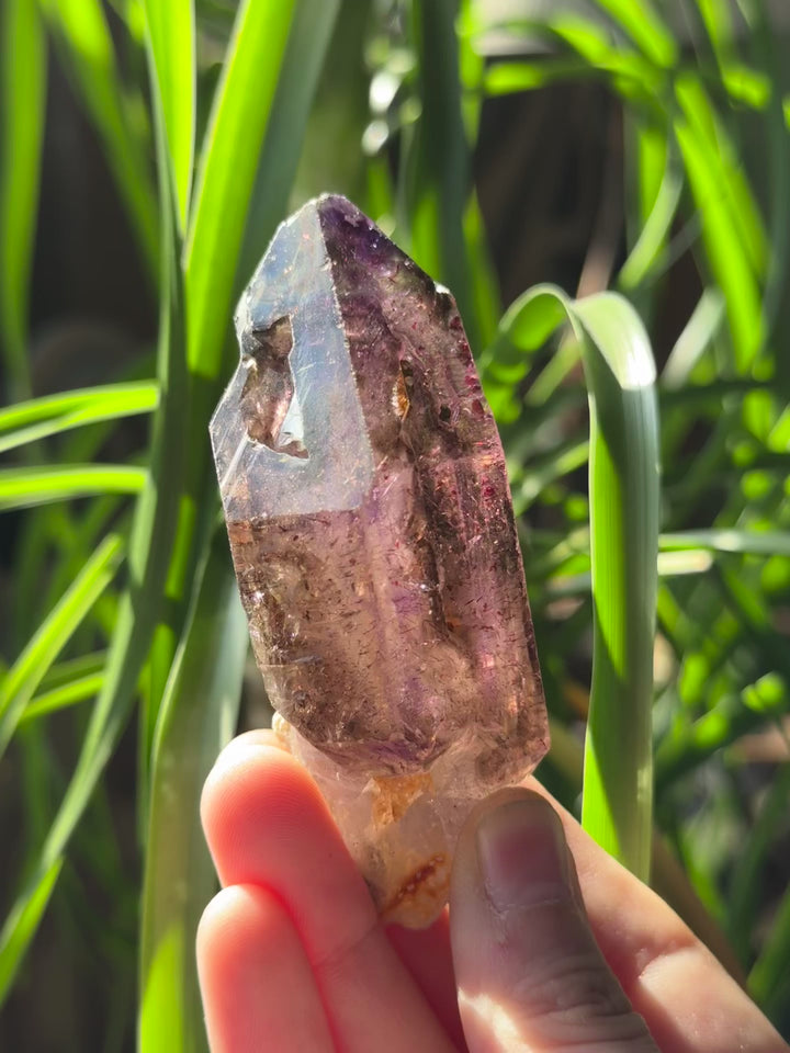 Shangaan Amethyst Scepter